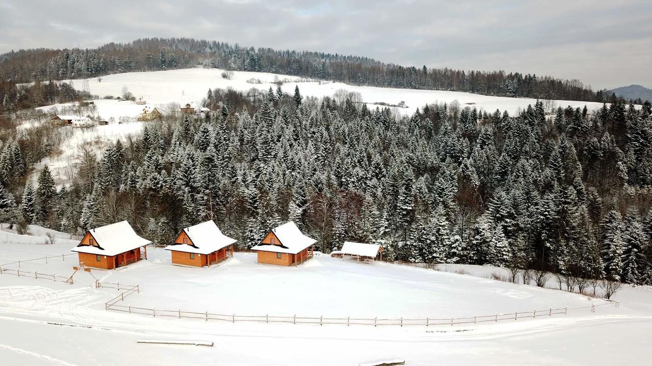 Chatki Niwki U Zboja Kroscienko nad Dunajcem Exterior photo